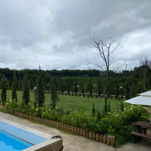 그 날의 온도 리뷰 사진