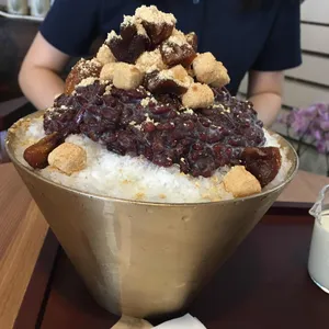 크로커스 사진