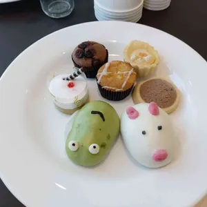 쎄쎄쎄 사진