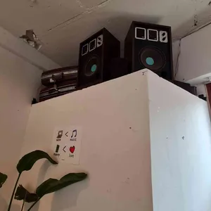 시저지 리뷰 사진