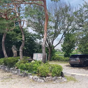 한알천 리뷰 사진