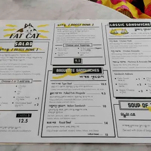팻캣 리뷰 사진