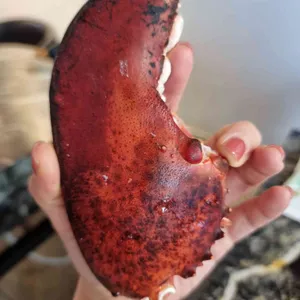 해천어부 리뷰 사진