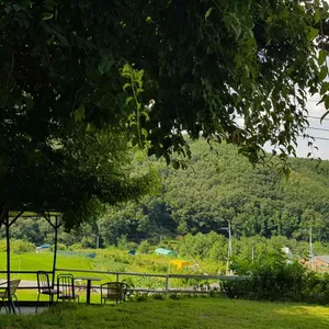 온더레일 리뷰 사진