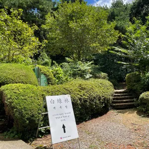 백록림 리뷰 사진