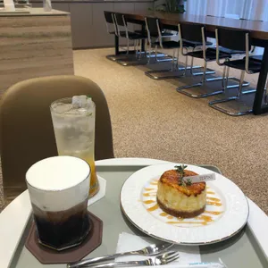 테르타스 리뷰 사진