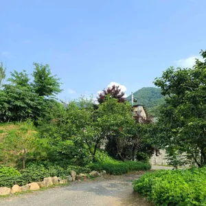 백자산오리가든 리뷰 사진