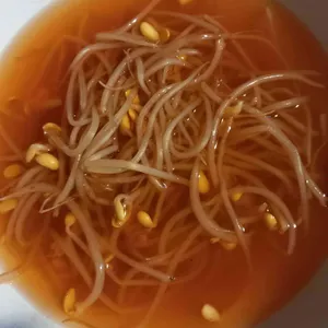 살아있는포차의전설토탈 리뷰 사진