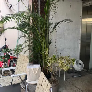 데이오프데이 리뷰 사진