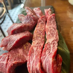 꽃살집 사진