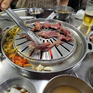 마포 갈매기 사진