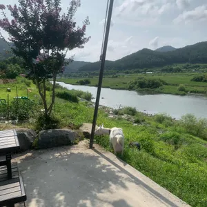 커피단월 리뷰 사진