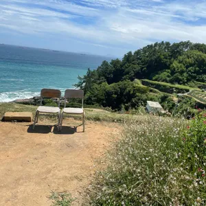 시골할매 막걸리 리뷰 사진