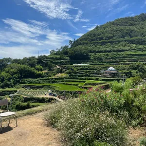 시골할매 막걸리 리뷰 사진