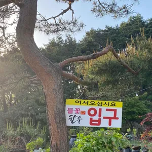 들꽃한우 리뷰 사진