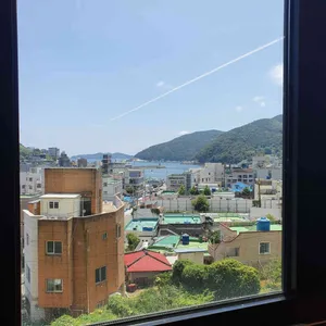 거장물총칼국수 리뷰 사진