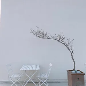 더 리플 리뷰 사진