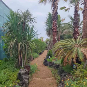 하늘꽃 리뷰 사진