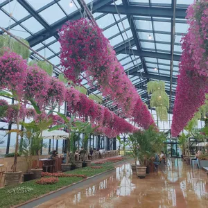 하늘꽃 리뷰 사진