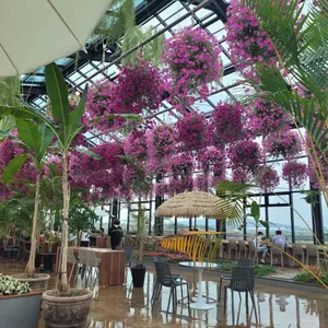 하늘꽃 리뷰 사진