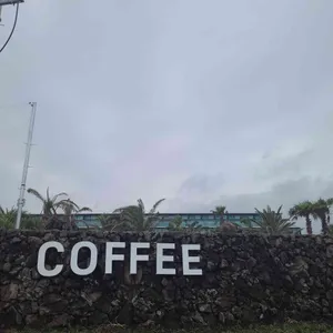 하늘꽃 리뷰 사진