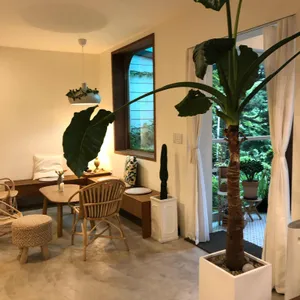 달쿠쿠 리뷰 사진