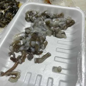 회싸나이 사진