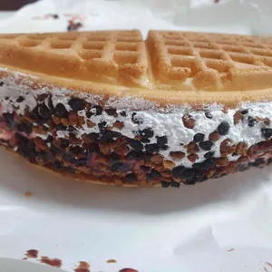 와플대학 사진