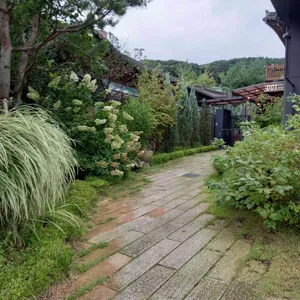 오월식당 리뷰 사진