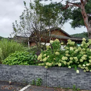 오월식당 리뷰 사진