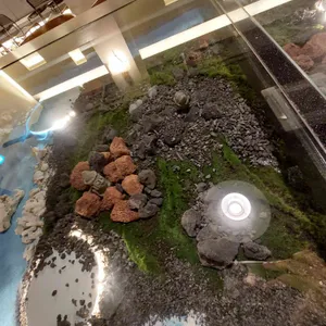 물레 리뷰 사진