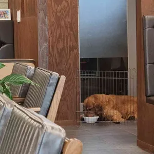 카페허밍 리뷰 사진