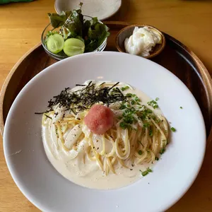 오운 사진