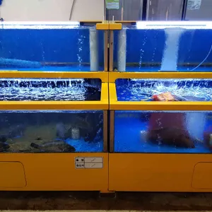 속초어시장 리뷰 사진