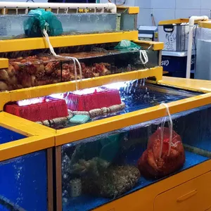 속초어시장 리뷰 사진