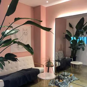 넘버트웰브 리뷰 사진