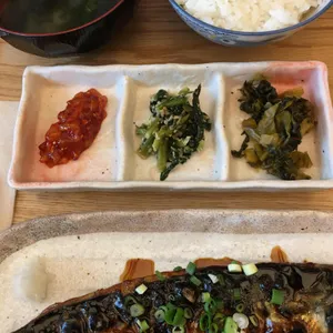 킨파 사진
