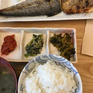 킨파 사진