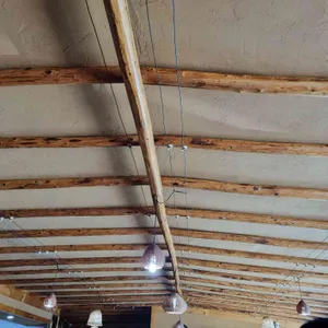 월오동묵집 리뷰 사진