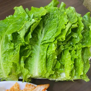 풍천장어 사진