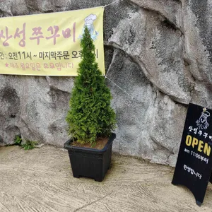 산성쭈꾸미 리뷰 사진