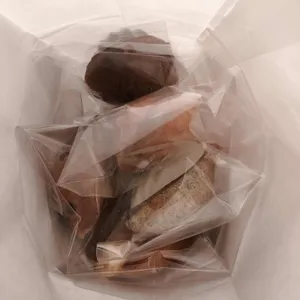시바네카페 사진