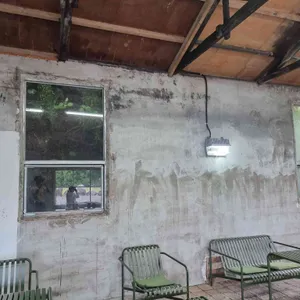 볼스 카페 리뷰 사진