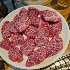 한짝 사진