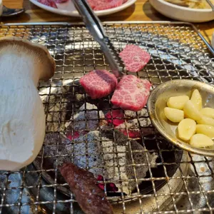 한짝 사진