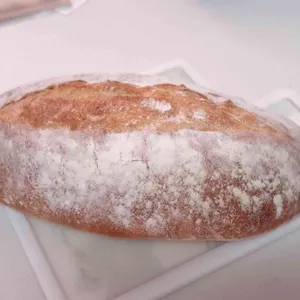 폴앤폴리나 사진