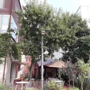 스틸모먼트 리뷰 사진