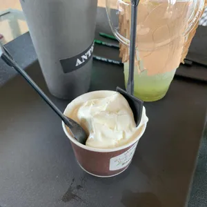 엔틸로프 사진