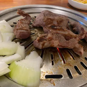 양평갈매기 사진