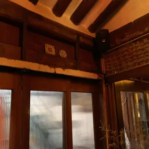 식물 리뷰 사진